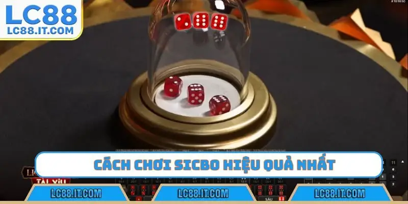 Cách chơi sicbo hiệu quả nhất cho người có tính toán