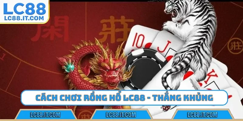 cách chơi rồng hổ